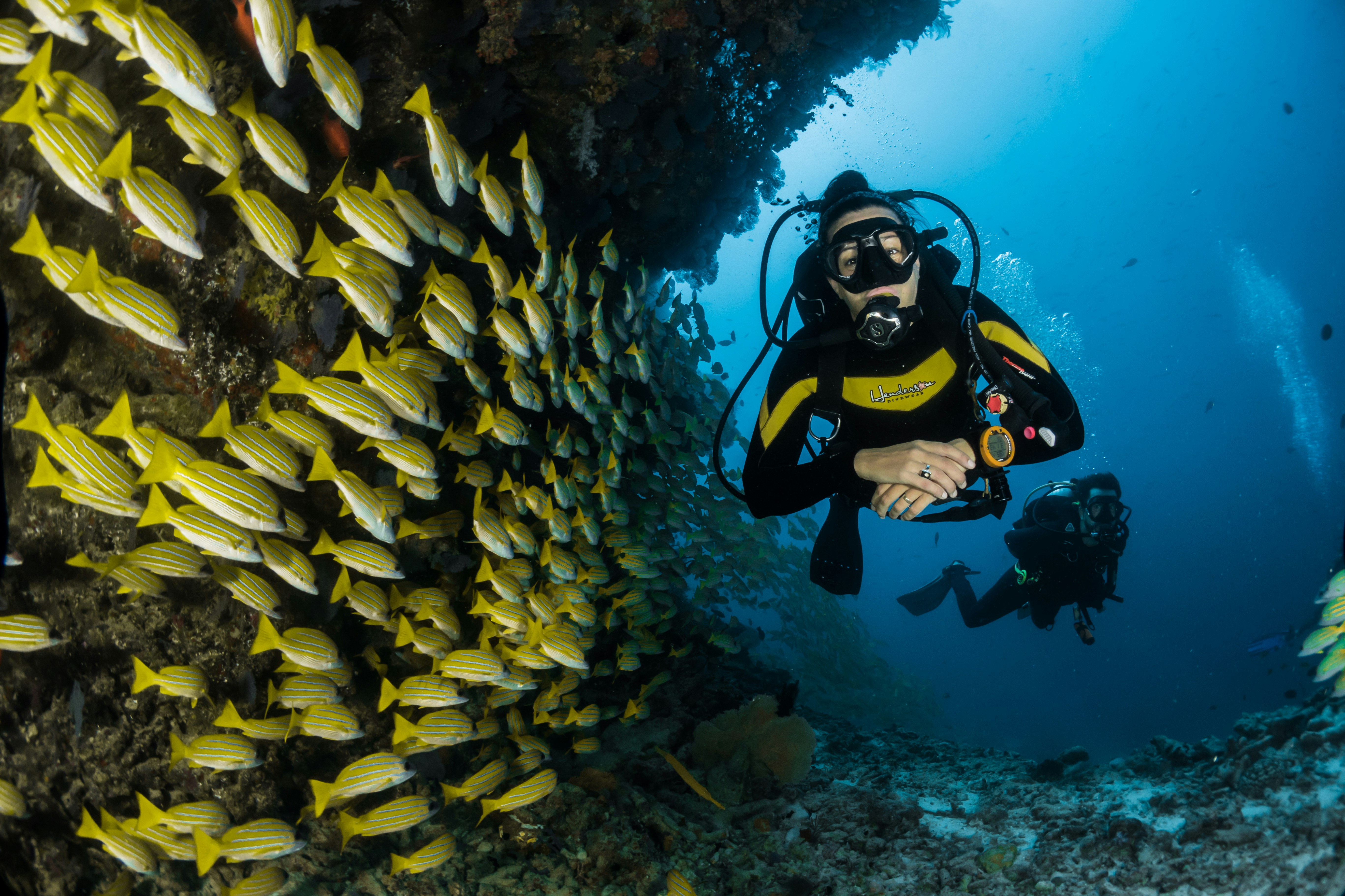 Buceo y snorkel en Bayahibe arrecife coral